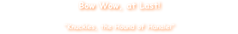 Bow Wow, at Last! 
Me and my Food Lady are now taking orders online for my big and beautiful book: 

“Knuckles, the Hound of Hanalei”